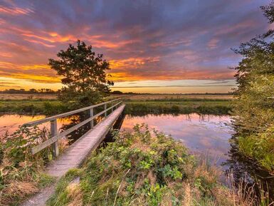 omgeving