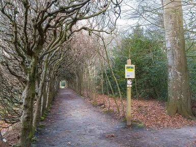 jomgeving2